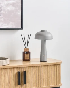 Bezprzewodowa lampa stołowa LED AGUSAN Ze ściemniaczem Metal Szary